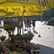 Krakow photo gallery