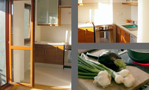 Apartment Limona kitchen